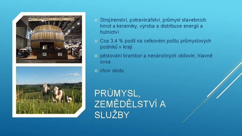  Strojírenství, potravinářství, průmysl stavebních hmot a keramiky, výroba a distribuce energií a hutnictví