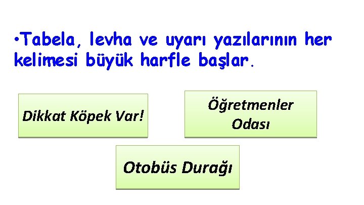  • Tabela, levha ve uyarı yazılarının her kelimesi büyük harfle başlar. Dikkat Köpek