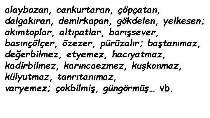 alaybozan, cankurtaran, çöpçatan, dalgakıran, demirkapan, gökdelen, yelkesen; akımtoplar, altıpatlar, barışsever, basınçölçer, özezer, pürüzalır; baştanımaz,