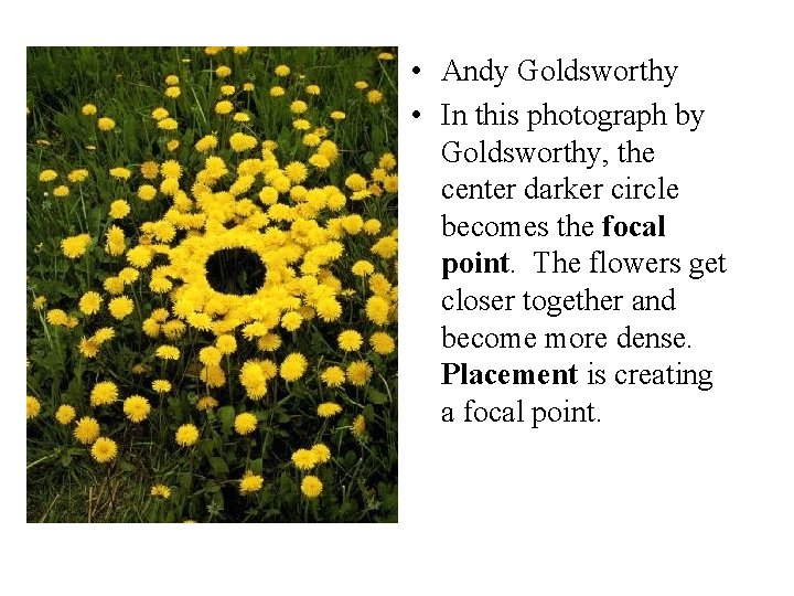 • Andy Goldsworthy • In this photograph by Goldsworthy, the center darker circle • Andy Goldsworthy • In this photograph by Goldsworthy, the center darker circle