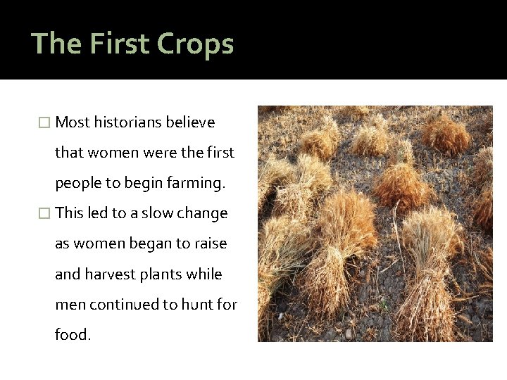 The First Crops � Most historians believe that women were the first people to