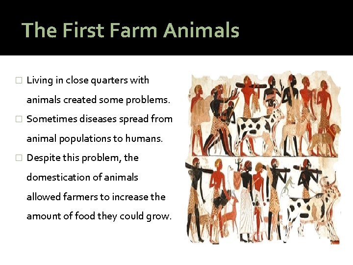 The First Farm Animals � Living in close quarters with animals created some problems.
