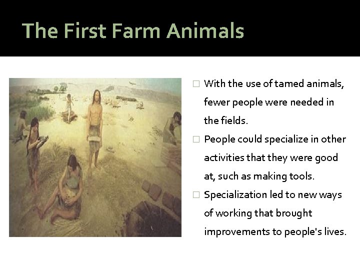 The First Farm Animals � With the use of tamed animals, fewer people were
