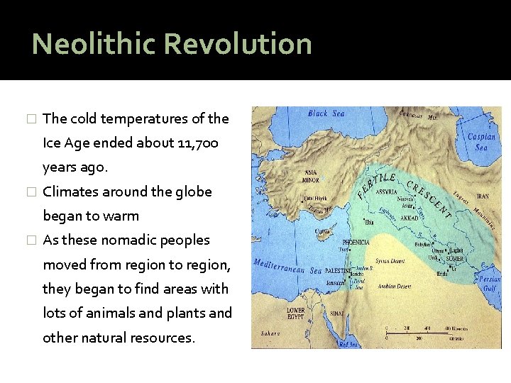 Neolithic Revolution � The cold temperatures of the Ice Age ended about 11, 700