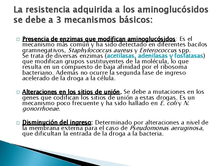 La resistencia adquirida a los aminoglucósidos se debe a 3 mecanismos básicos: � �