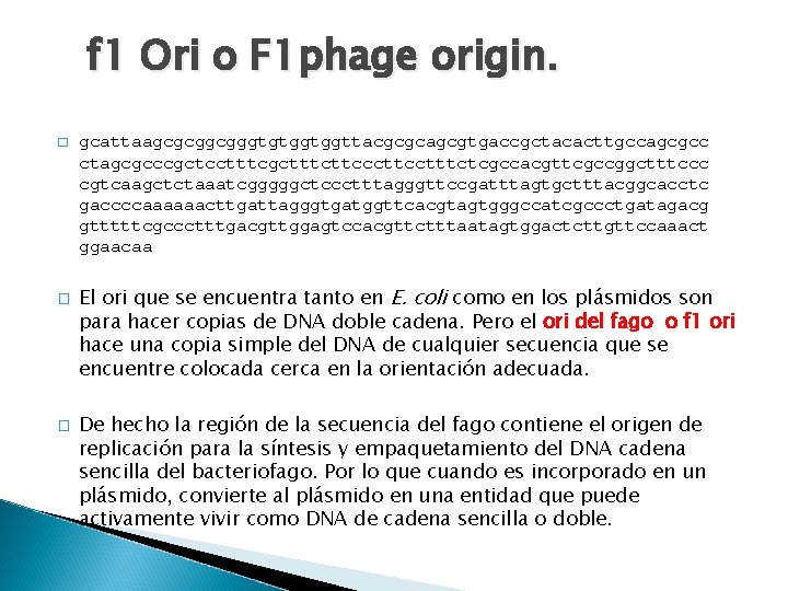 f 1 Ori o F 1 phage origin. � � � gcattaagcgcggcgggtgtggtggttacgcgcagcgtgaccgctacacttgccagcgcc ctagcgcccgctcctttcgctttcttcctttctcgccacgttcgccggctttccc cgtcaagctctaaatcgggggctccctttagggttccgatttagtgctttacggcacctc