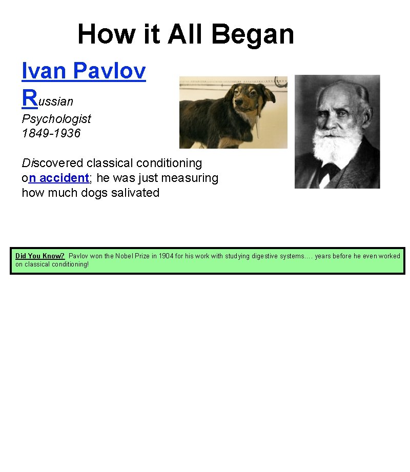 How it All Began Ivan Pavlov Russian Psychologist 1849 -1936 Discovered classical conditioning on How it All Began Ivan Pavlov Russian Psychologist 1849 -1936 Discovered classical conditioning on