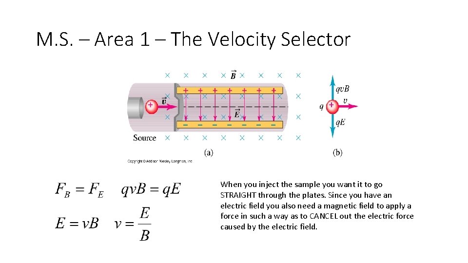 M. S. – Area 1 – The Velocity Selector When you inject the sample