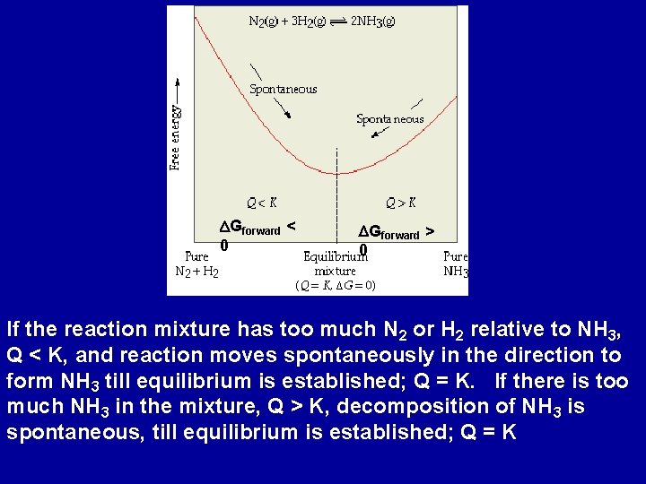 DGforward < 0 DGforward > 0 If the reaction mixture has too much N DGforward < 0 DGforward > 0 If the reaction mixture has too much N