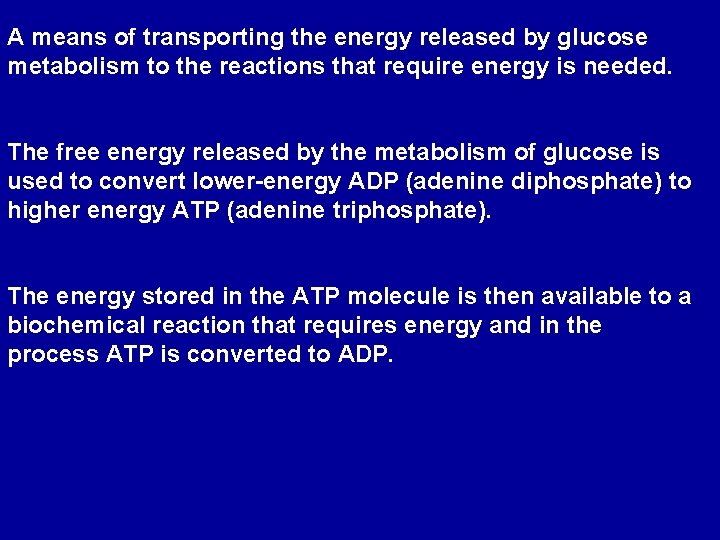 A means of transporting the energy released by glucose metabolism to the reactions that
