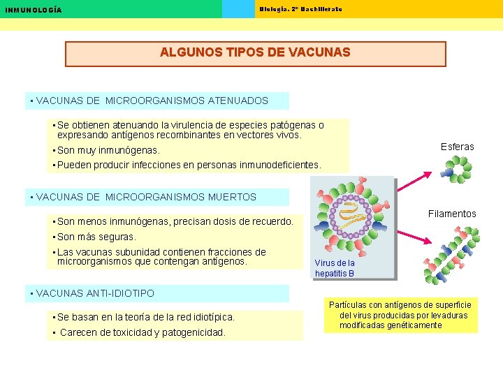Biología. 2º Bachillerato INMUNOLOGÍA ALGUNOS TIPOS DE VACUNAS • VACUNAS DE MICROORGANISMOS ATENUADOS • Biología. 2º Bachillerato INMUNOLOGÍA ALGUNOS TIPOS DE VACUNAS • VACUNAS DE MICROORGANISMOS ATENUADOS •