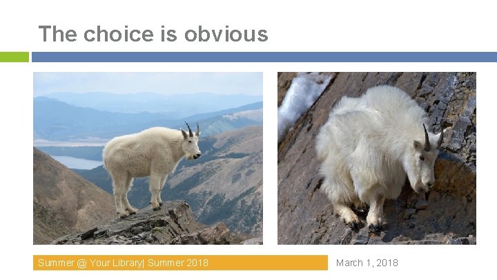The choice is obvious Summer @ Your Library| Summer 2018 March 1, 2018 The choice is obvious Summer @ Your Library| Summer 2018 March 1, 2018