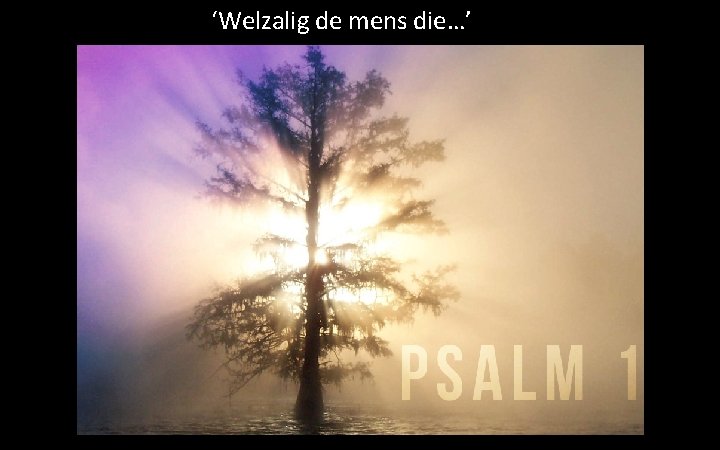 ‘Welzalig de mens die…’ 