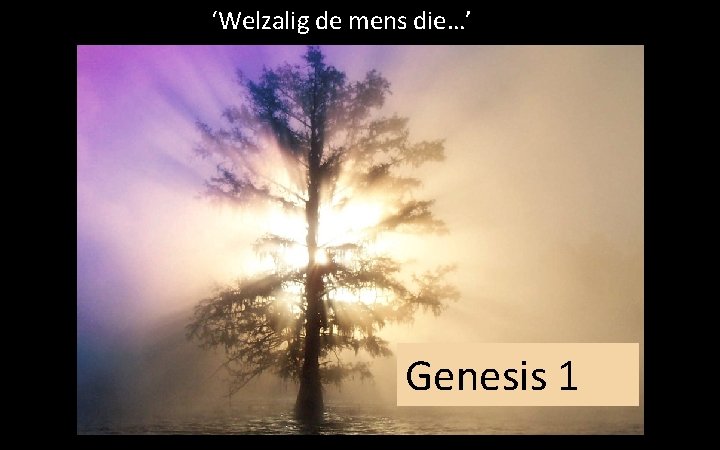 ‘Welzalig de mens die…’ Genesis 1 