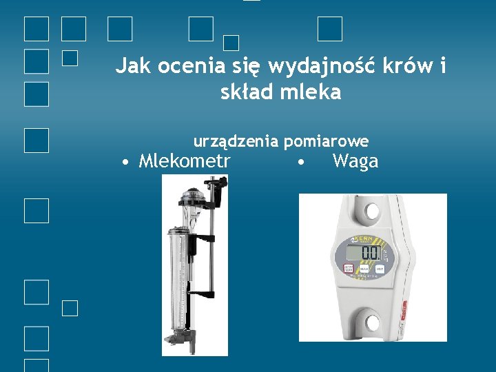 Jak ocenia się wydajność krów i skład mleka urządzenia pomiarowe • Mlekometr • Waga