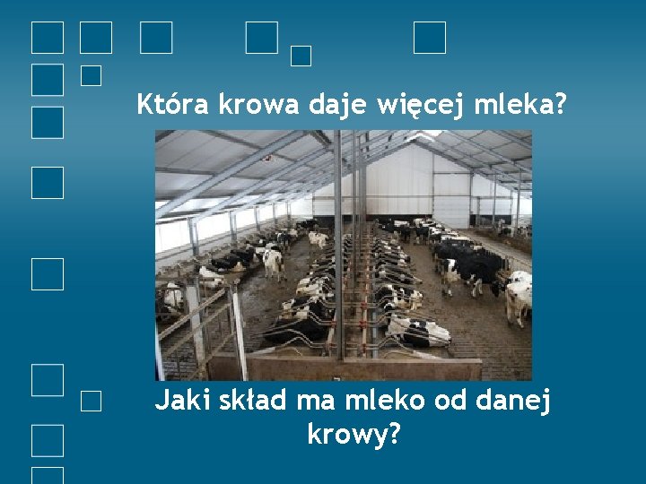 Która krowa daje więcej mleka? Jaki skład ma mleko od danej krowy? 