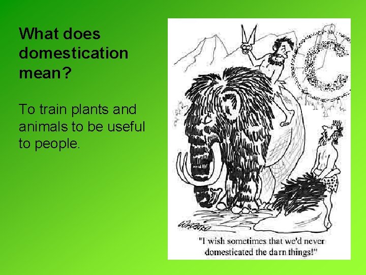 What does domestication mean? To train plants and animals to be useful to people. What does domestication mean? To train plants and animals to be useful to people.