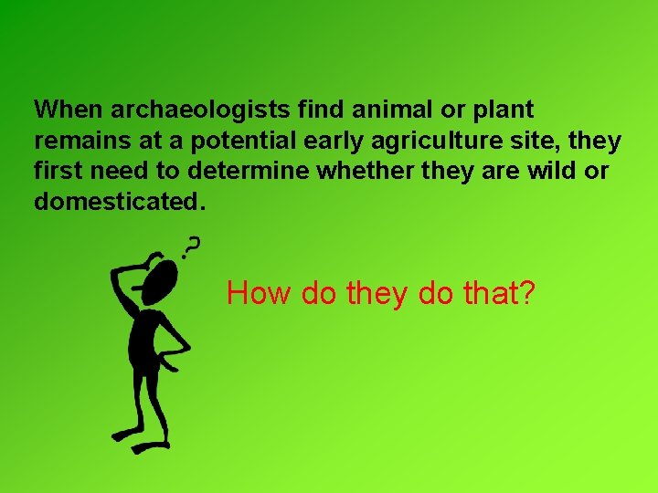 When archaeologists find animal or plant remains at a potential early agriculture site, they When archaeologists find animal or plant remains at a potential early agriculture site, they