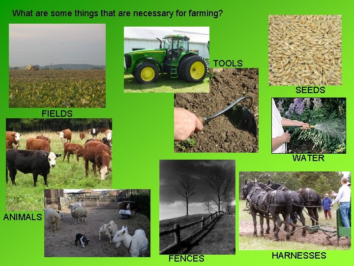What are some things that are necessary for farming? TOOLS SEEDS FIELDS WATER ANIMALS What are some things that are necessary for farming? TOOLS SEEDS FIELDS WATER ANIMALS