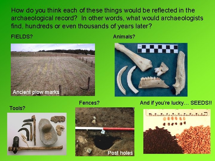 How do you think each of these things would be reflected in the archaeological How do you think each of these things would be reflected in the archaeological