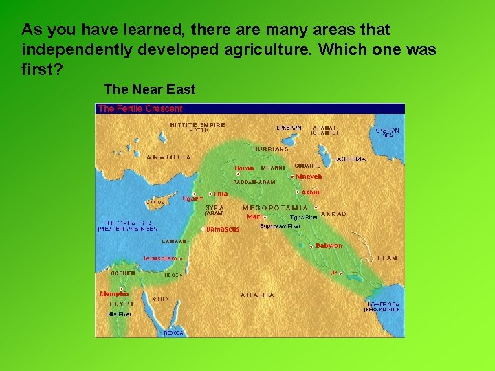 As you have learned, there are many areas that independently developed agriculture. Which one As you have learned, there are many areas that independently developed agriculture. Which one