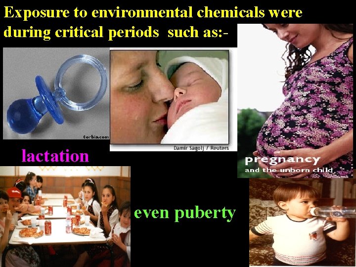 Exposure to environmental chemicals were during critical periods such as: - lactation even puberty Exposure to environmental chemicals were during critical periods such as: - lactation even puberty