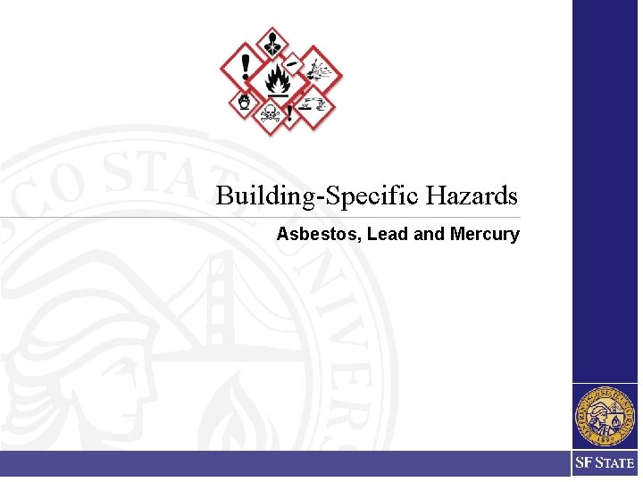 Building-Specific Hazards Asbestos, Lead and Mercury Building-Specific Hazards Asbestos, Lead and Mercury