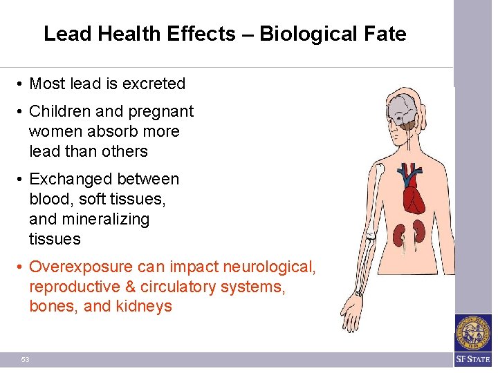 Lead Health Effects – Biological Fate • Most lead is excreted • Children and Lead Health Effects – Biological Fate • Most lead is excreted • Children and