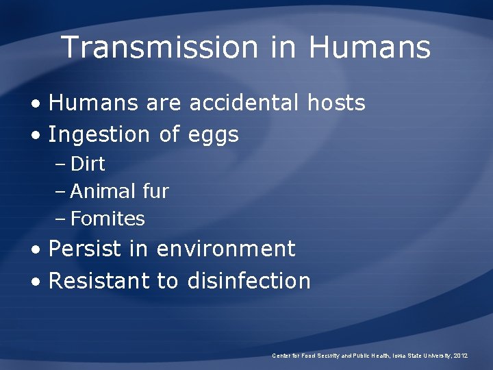 Transmission in Humans • Humans are accidental hosts • Ingestion of eggs – Dirt Transmission in Humans • Humans are accidental hosts • Ingestion of eggs – Dirt
