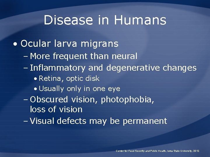 Disease in Humans • Ocular larva migrans – More frequent than neural – Inflammatory Disease in Humans • Ocular larva migrans – More frequent than neural – Inflammatory