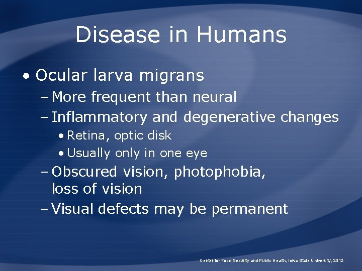 Disease in Humans • Ocular larva migrans – More frequent than neural – Inflammatory