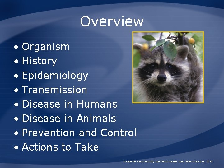 Overview • Organism • History • Epidemiology • Transmission • Disease in Humans •