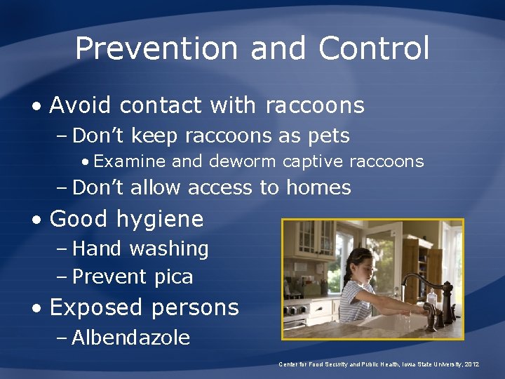 Prevention and Control • Avoid contact with raccoons – Don’t keep raccoons as pets