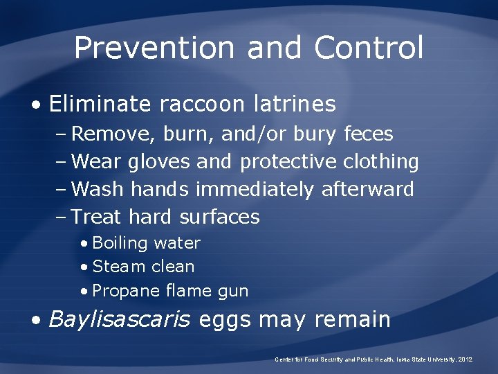 Prevention and Control • Eliminate raccoon latrines – Remove, burn, and/or bury feces –