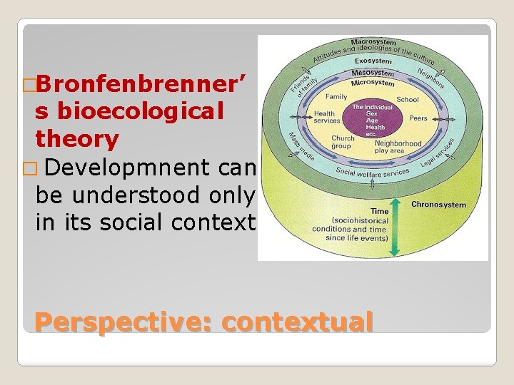 �Bronfenbrenner’ s bioecological theory � Developmnent can be understood only in its social context