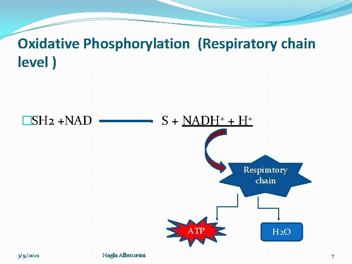 Oxidative Phosphorylation (Respiratory chain level ) �SH 2 +NAD S + NADH+ + H+