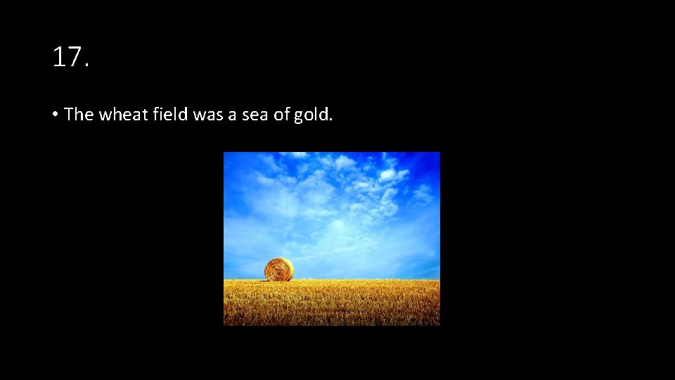 17. • The wheat field was a sea of gold. 