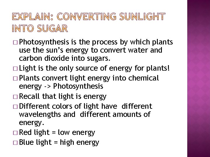 � Photosynthesis is the process by which plants use the sun’s energy to convert � Photosynthesis is the process by which plants use the sun’s energy to convert