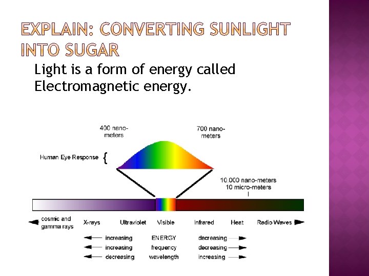 Light is a form of energy called Electromagnetic energy. Light is a form of energy called Electromagnetic energy.
