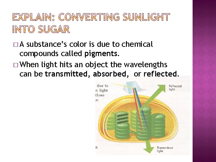�A substance’s color is due to chemical compounds called pigments. � When light hits �A substance’s color is due to chemical compounds called pigments. � When light hits