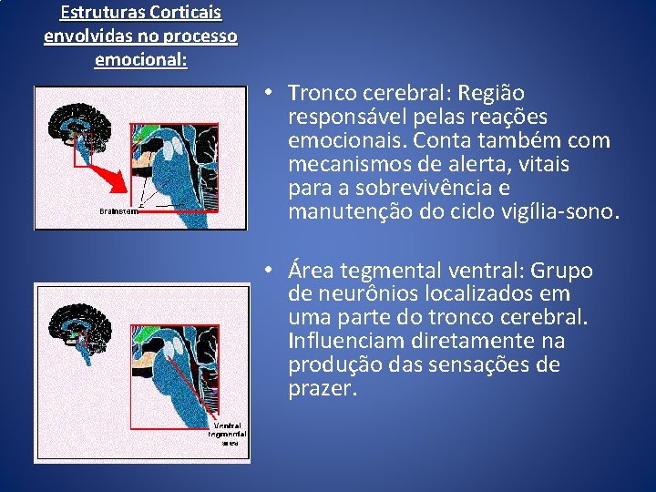 Estruturas Corticais envolvidas no processo emocional: • Tronco cerebral: Região responsável pelas reações emocionais. Estruturas Corticais envolvidas no processo emocional: • Tronco cerebral: Região responsável pelas reações emocionais.