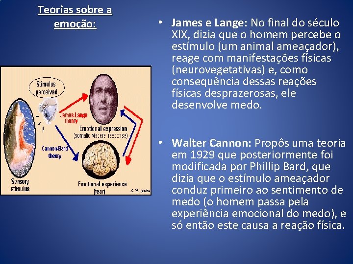 Teorias sobre a emoção: • James e Lange: No final do século XIX, dizia Teorias sobre a emoção: • James e Lange: No final do século XIX, dizia