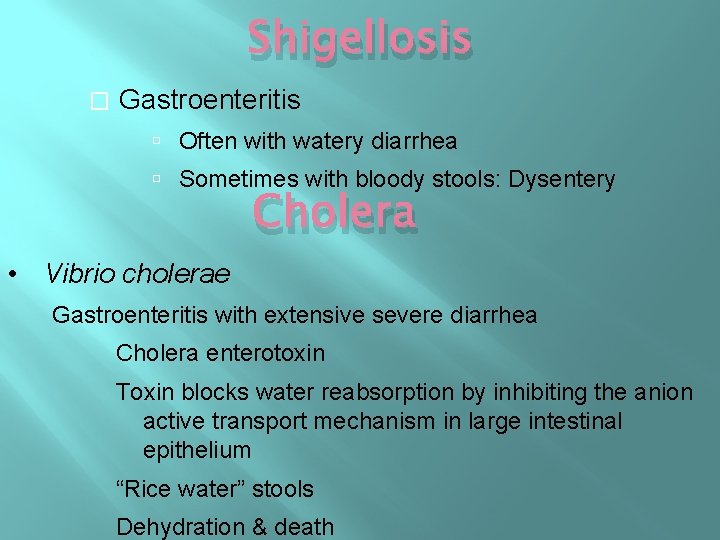 Shigellosis � Gastroenteritis Often with watery diarrhea Sometimes with bloody stools: Dysentery Cholera • Shigellosis � Gastroenteritis Often with watery diarrhea Sometimes with bloody stools: Dysentery Cholera •