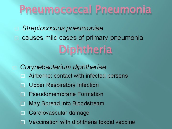 Pneumococcal Pneumonia � � Streptococcus pneumoniae causes mild cases of primary pneumonia Diphtheria � Pneumococcal Pneumonia � � Streptococcus pneumoniae causes mild cases of primary pneumonia Diphtheria �