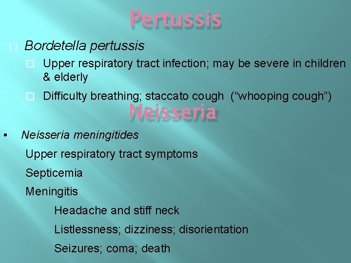 Pertussis � • Bordetella pertussis � Upper respiratory tract infection; may be severe in Pertussis � • Bordetella pertussis � Upper respiratory tract infection; may be severe in