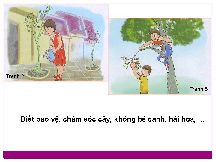 Tranh 2 Tranh 5 Biết bảo vệ, chăm sóc cây, không bẻ cành, hái Tranh 2 Tranh 5 Biết bảo vệ, chăm sóc cây, không bẻ cành, hái