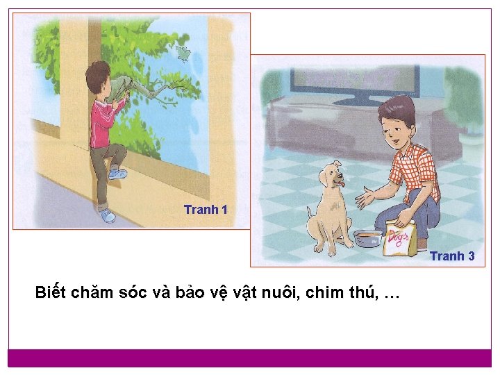 Tranh 1 Tranh 3 Biết chăm sóc và bảo vệ vật nuôi, chim thú, Tranh 1 Tranh 3 Biết chăm sóc và bảo vệ vật nuôi, chim thú,