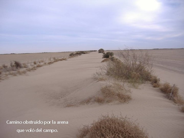 Camino obstruido por la arena que voló del campo. 