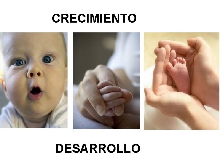 CRECIMIENTO DESARROLLO CRECIMIENTO DESARROLLO