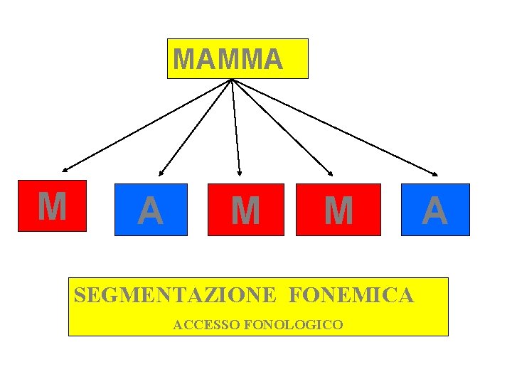 MAMMA M M SEGMENTAZIONE FONEMICA ACCESSO FONOLOGICO A 